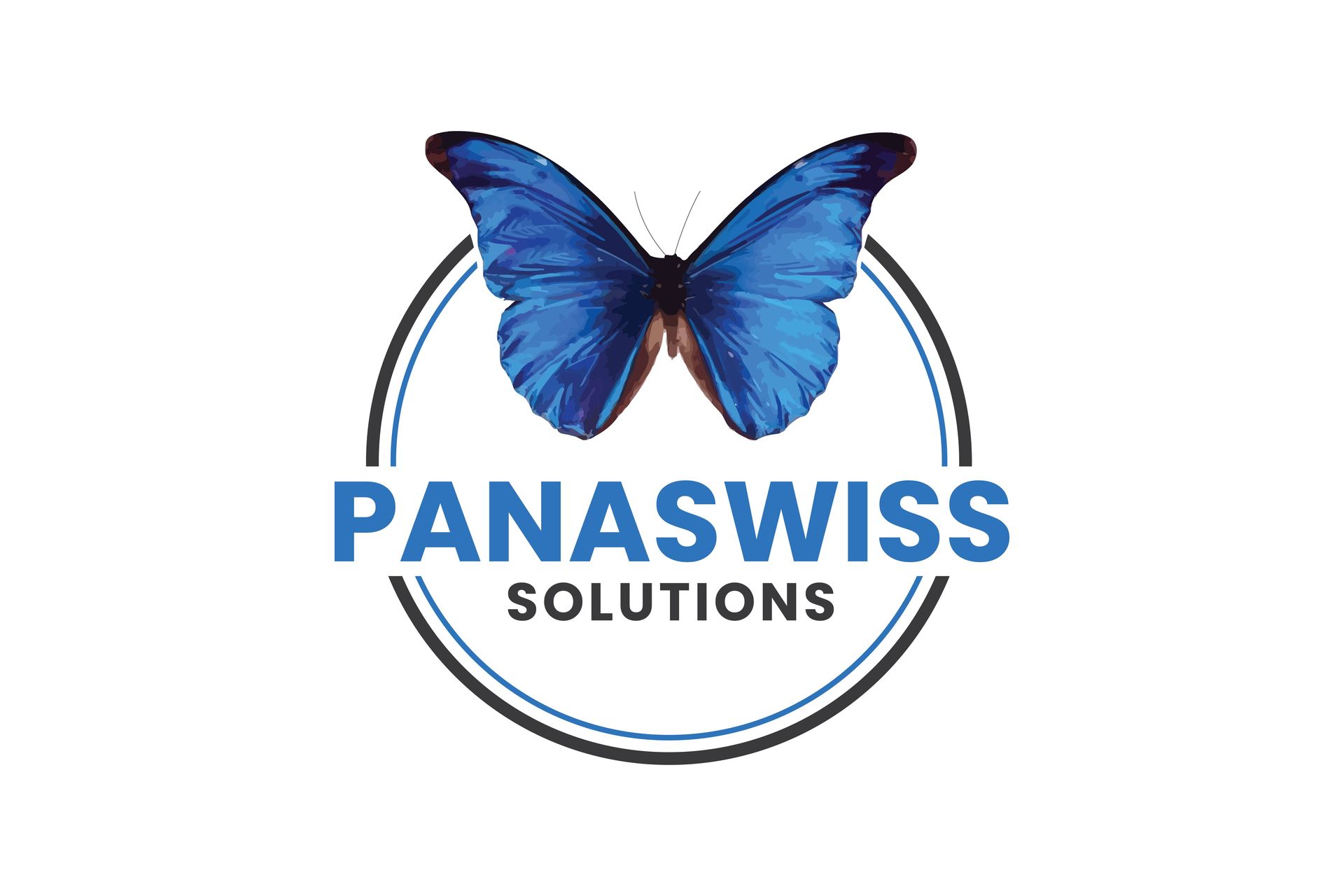 Panaswiss Solutions GmbH